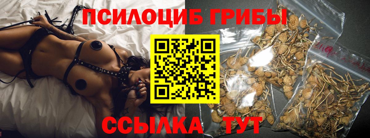 Псилоцибиновые грибы мухоморы  Псилоцибиновые грибы прущие грибы  Вход с VPN  Сорочинск 