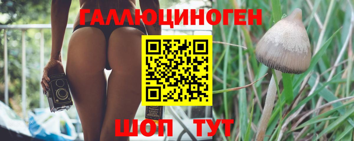 Галлюциногенные грибы Cubensis Сорочинск
